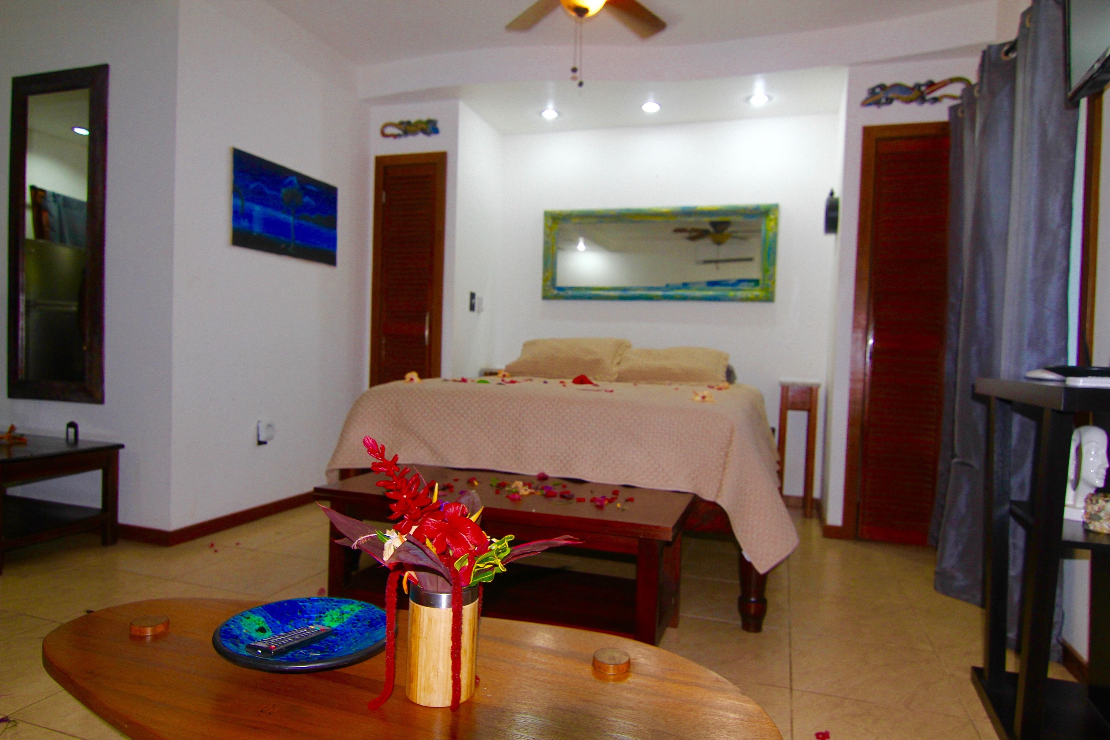 Estudio Confort, 1 cama de matrimonio con sofá cama, cocina, vistas al jardín | Ropa de cama de alta calidad y caja fuerte