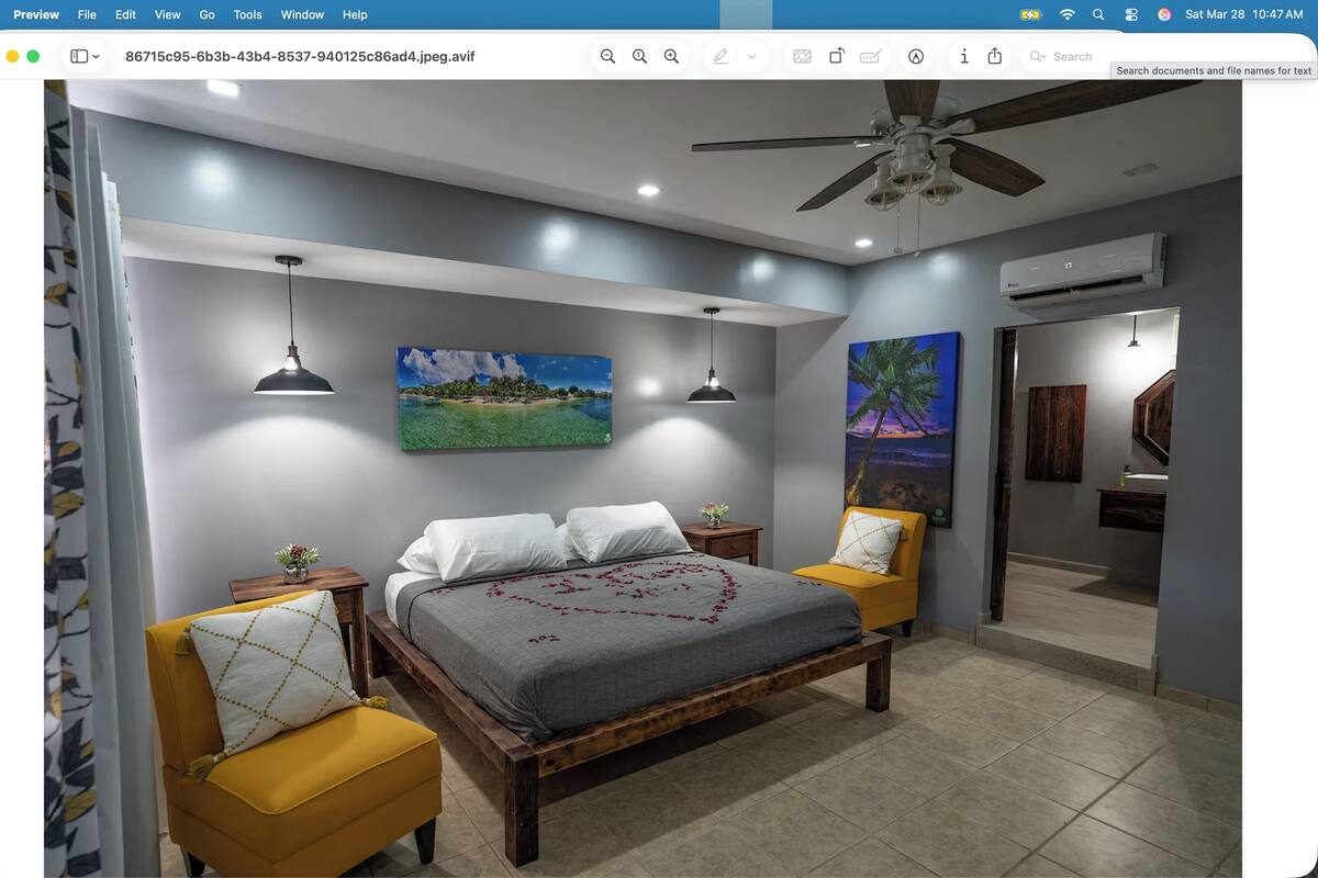 Deluxe Room | Premium bedding, in-room safe, individually decorated