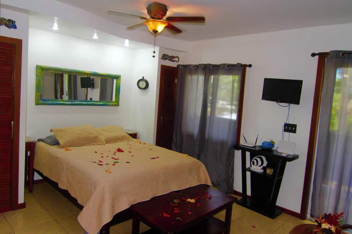 A bedroom with a bed, a ceiling fan, a clock, a television, and a desk with a computer.