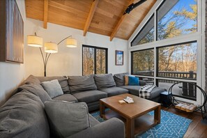TV connectée, cheminée, livres