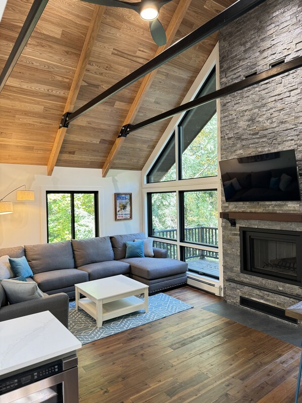 Smart TV, fireplace, books