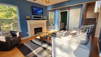 TV, fireplace, video game console, DVD player