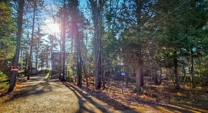 Terrain de l’hébergement 