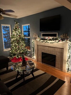 TV, fireplace, video game console, DVD player