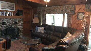 Télévision, cheminée, lecteur de DVD, livres