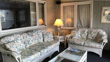 Télévision, cheminée, lecteur de DVD, livres