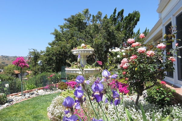 April in the garden