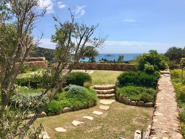 Un sendero de piedra atraviesa un jardín con diversas plantas y un muro de piedra.