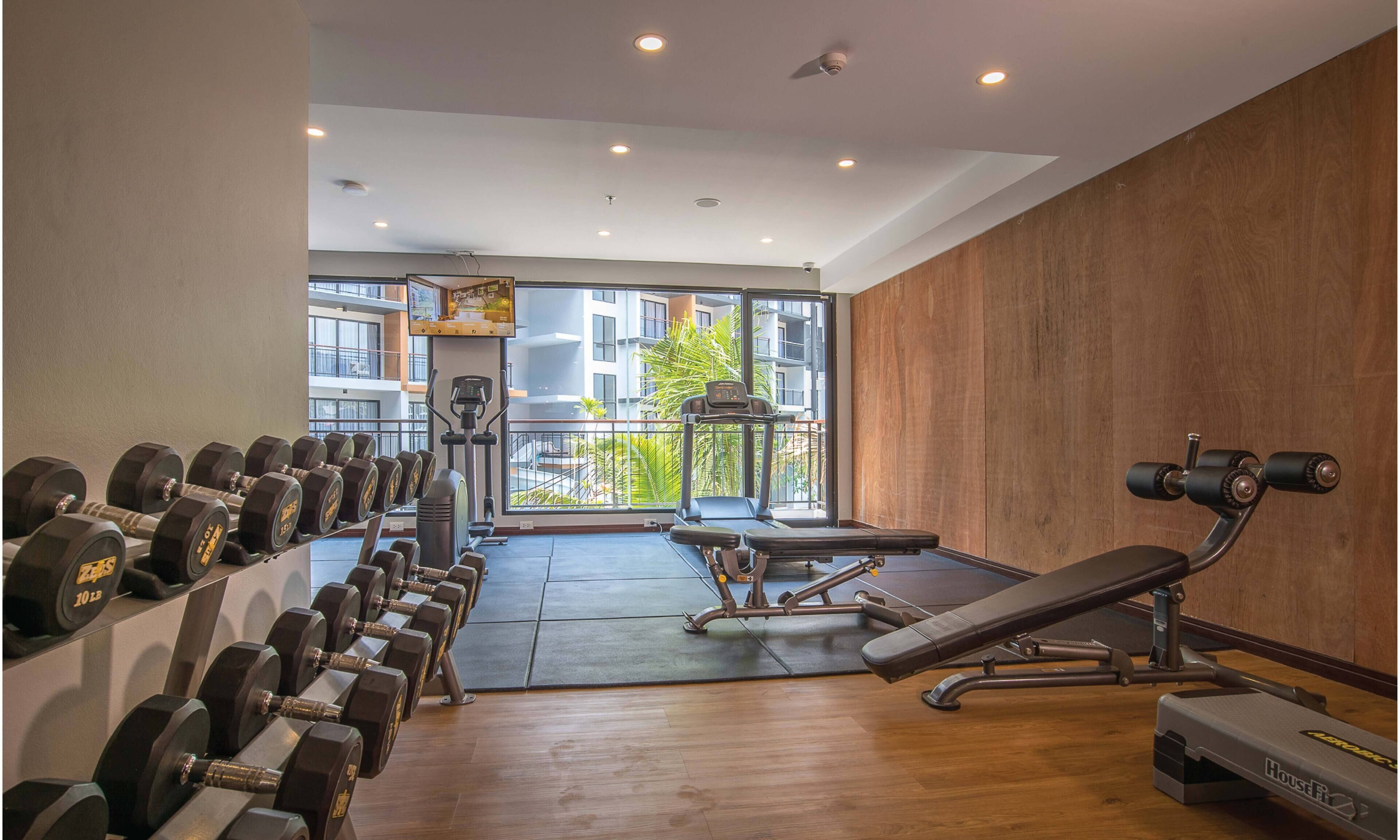 A gym with dumbbells, a treadmill, and a bench.