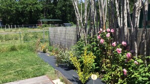 A garden with a wooden deck, a bamboo fence, and various plants including pink roses. - Bassin d'arcachon, a cozy little nest between dune du pyla and cap-ferret  (Audenge)