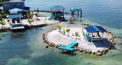 Welcome to Bird Island!