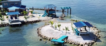 Bird Island - Placencia