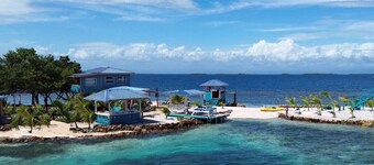 Welcome to Bird Island!
