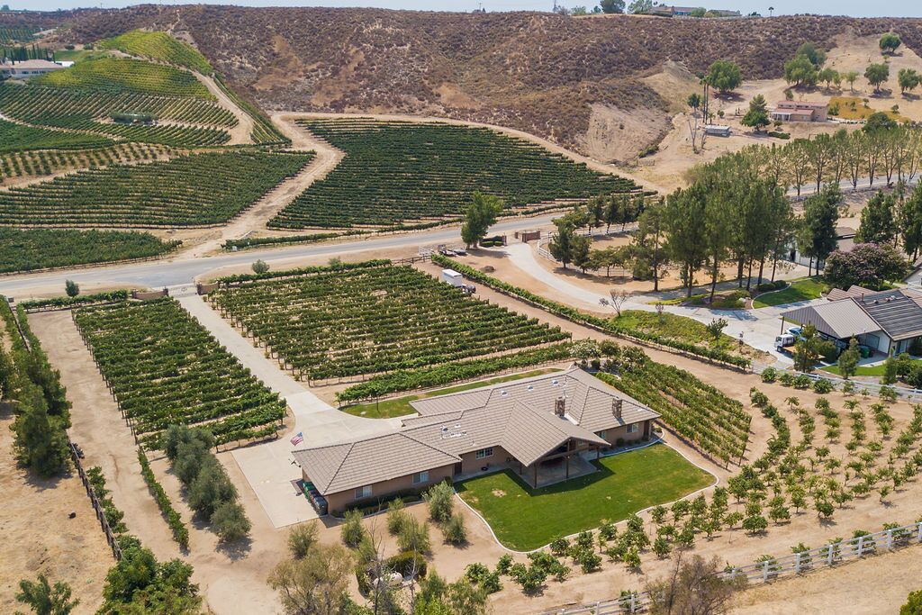 An aerial view of a vineyard with rows of grapevines, a large building with a sloped roof, and a paved road.