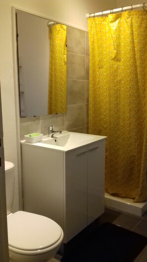 Regadera y secadora de cabello 