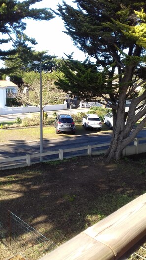 Property grounds - Bright studio on the edge of the forest and 5 minutes from the beach  (Saint-Jean-de-Monts)