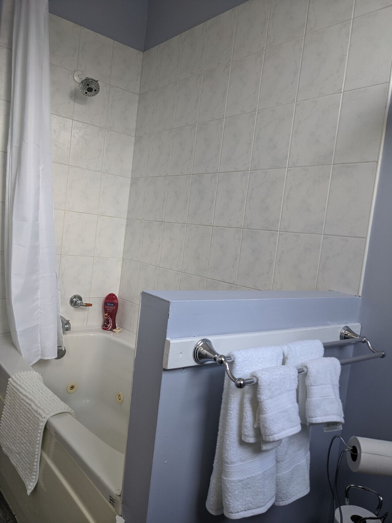 Bañera con ducha, bañera de hidromasaje, secador de pelo, toallas