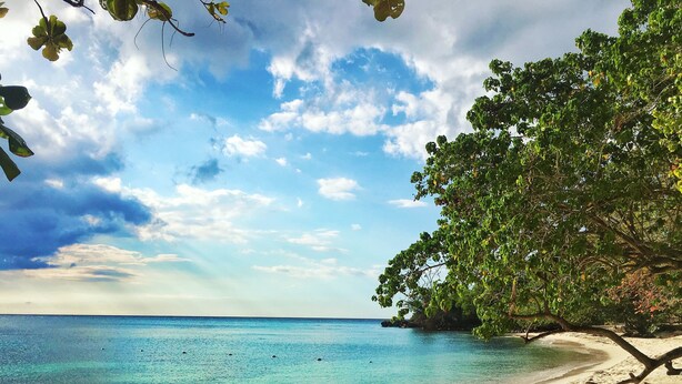 Een strand met helder turquoise water, een zandrijk strand en weelderige groene bomen.