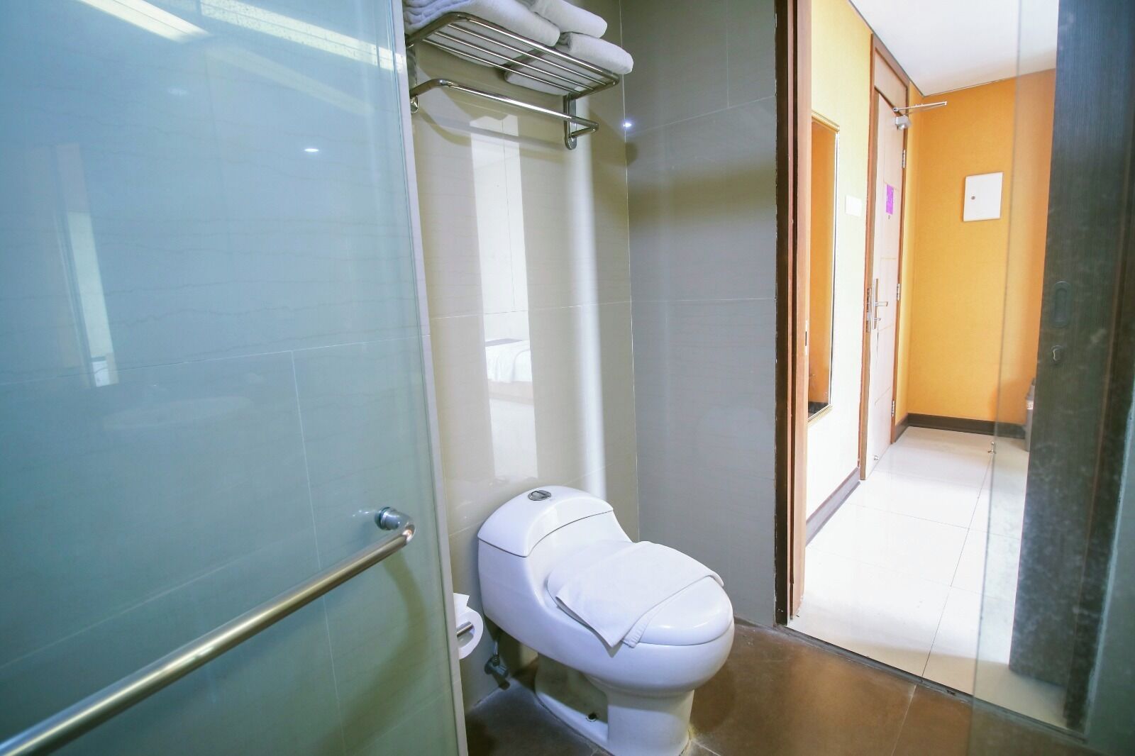 Une salle de bain avec une douche à parois de verre, des toilettes blanches et un porte-serviettes.