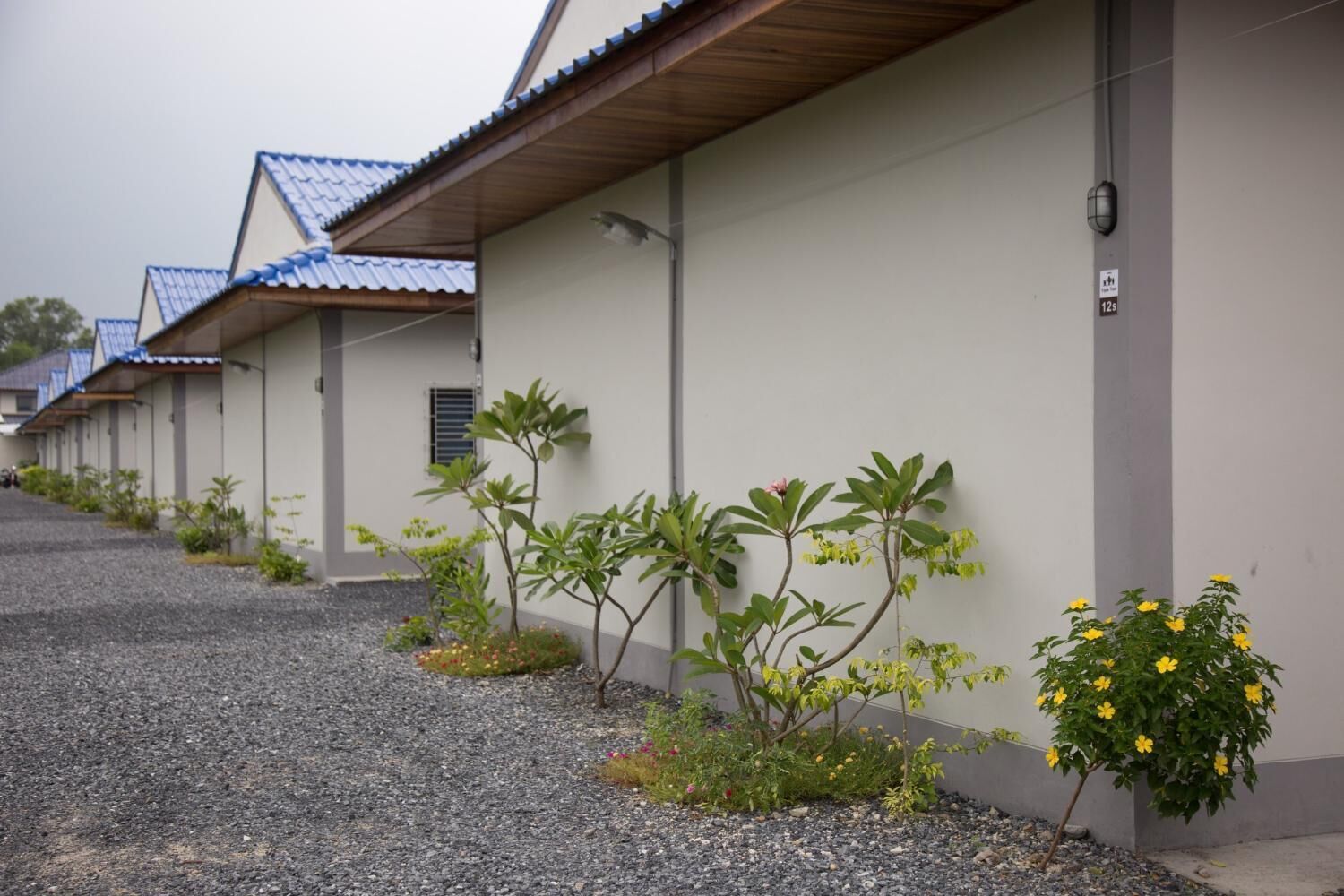 A row of single-story buildings with a gravel driveway and small plants along the side.