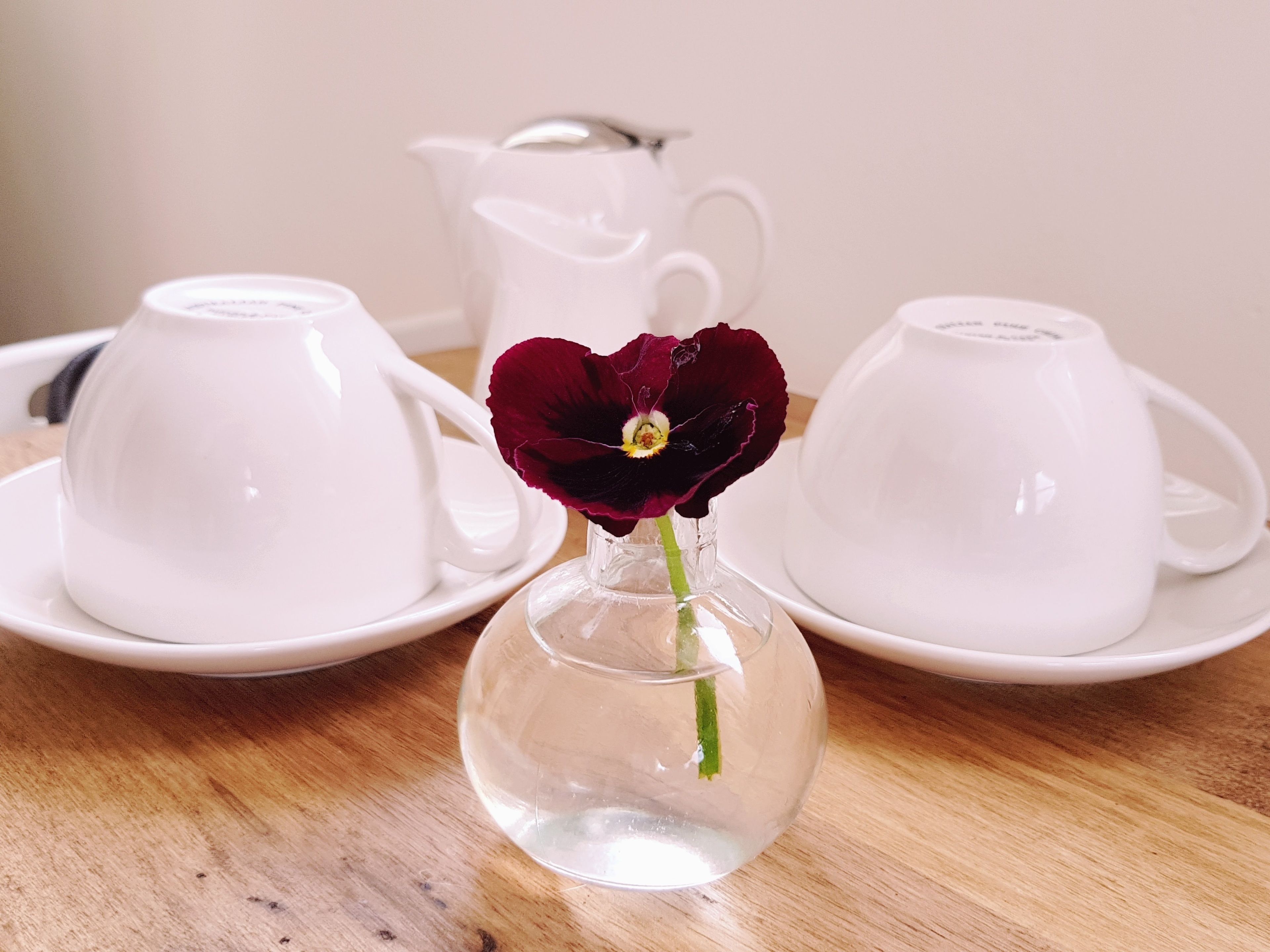 Una mesa con un florero de vidrio transparente que contiene una sola flor, rodeada de tazas de té blancas y una tetera blanca.
