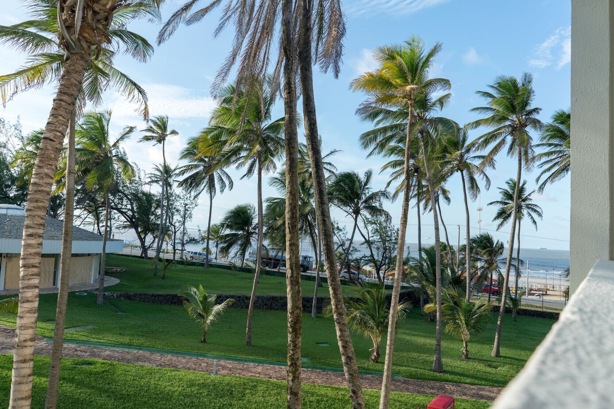 Vista de palmeras y un área verde, con un edificio al fondo.
