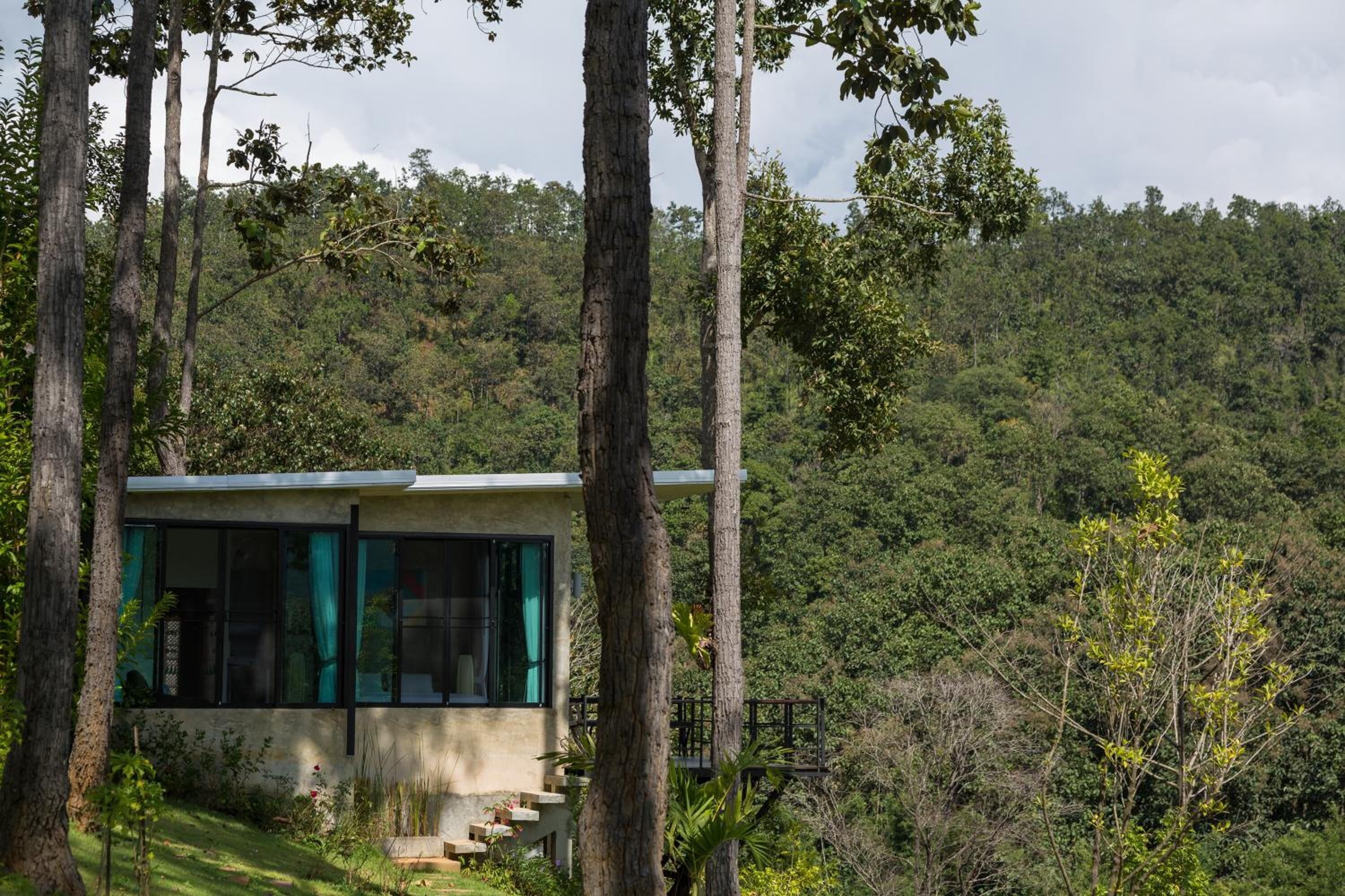 A modern house with large windows and a view of a forested hillside.