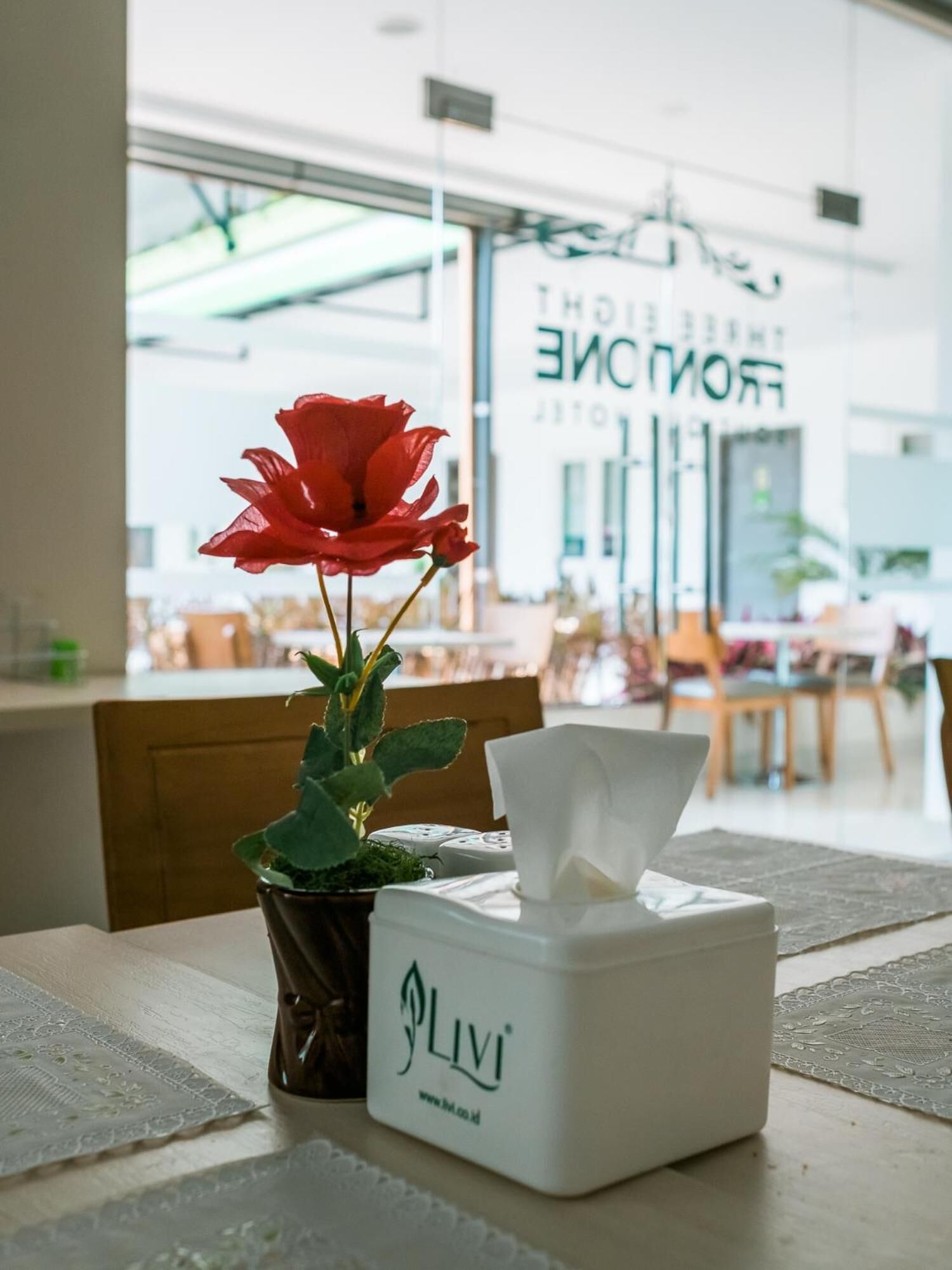 A tissue box and a potted plant on a table in a well-lit indoor space.