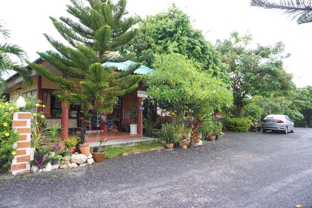 Primary image