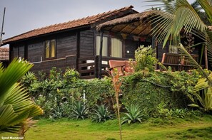 View from property - Lotus Sutra (Arambol)