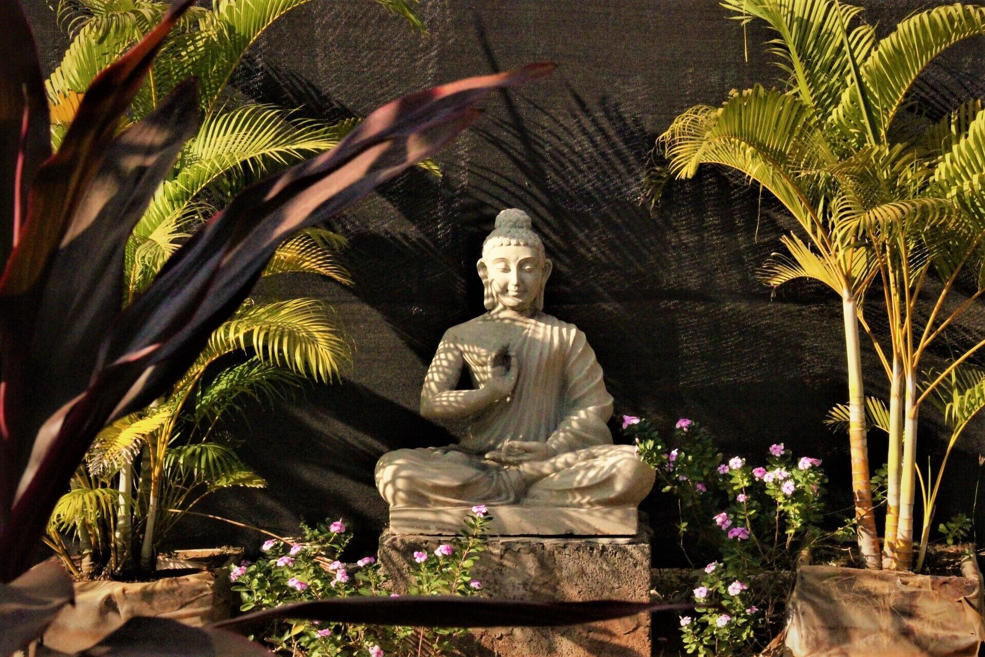 A stone Buddha statue in a meditative pose, surrounded by tropical plants and flowers.