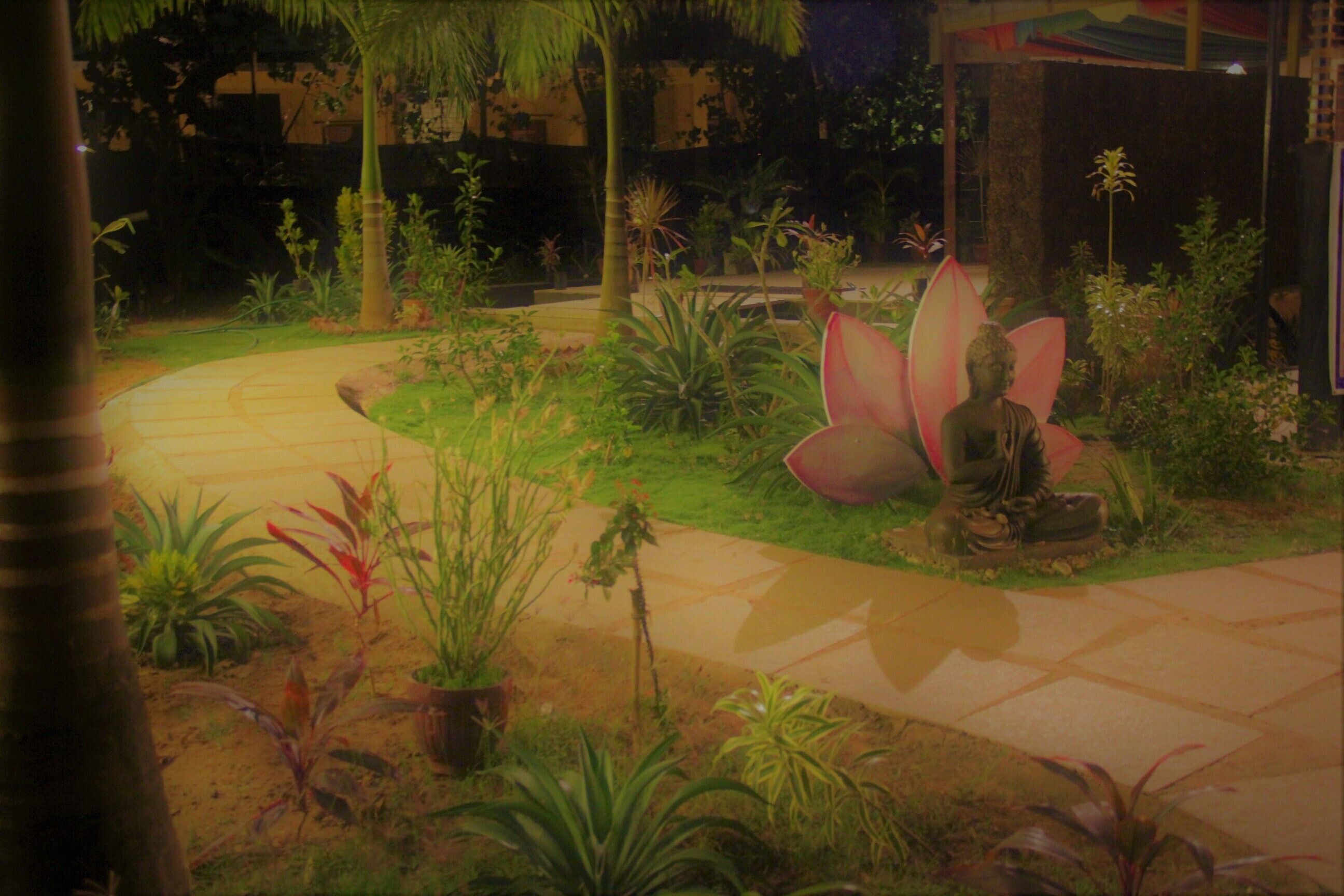 A garden with a statue, various plants, and a paved walkway.