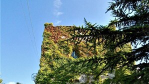 Ein mit Efeu bewachsenes Gebäude, eine Steinmauer und ein kleines Rundbogenfenster.