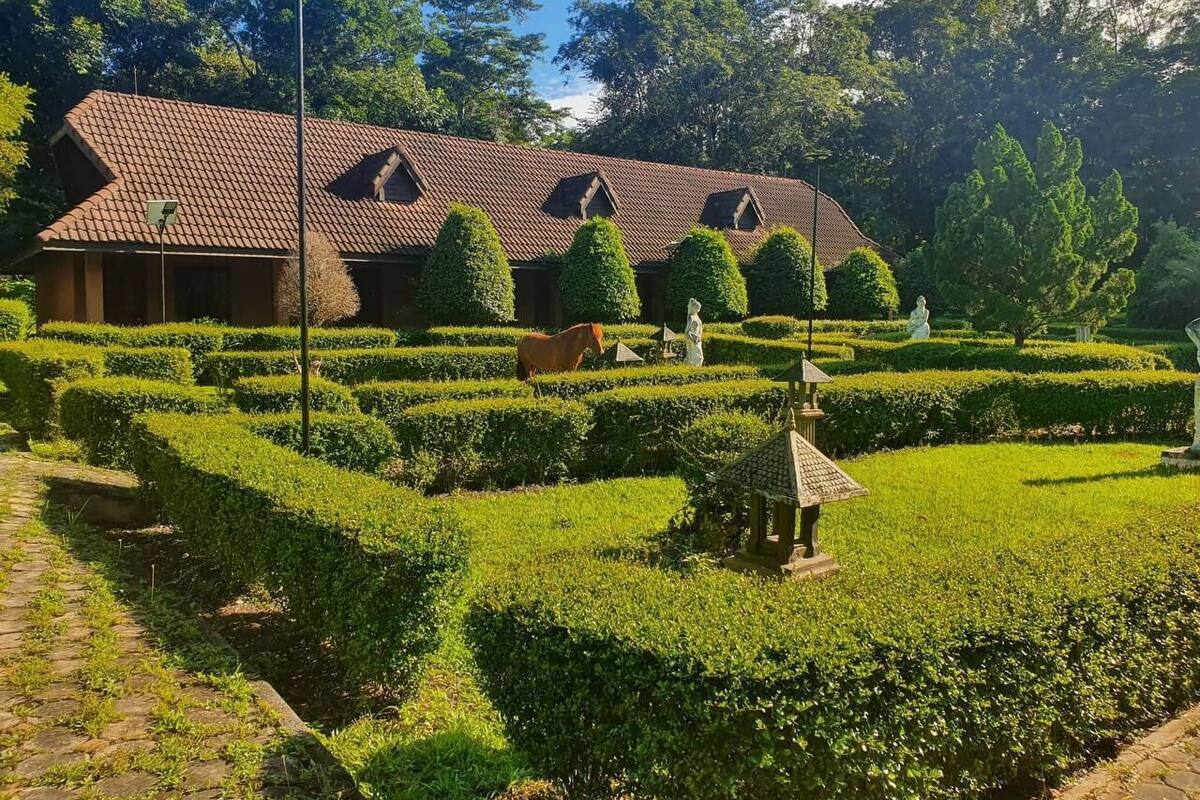 A building with a tiled roof and multiple dormer windows, surrounded by well-manicured hedges and a small statue.