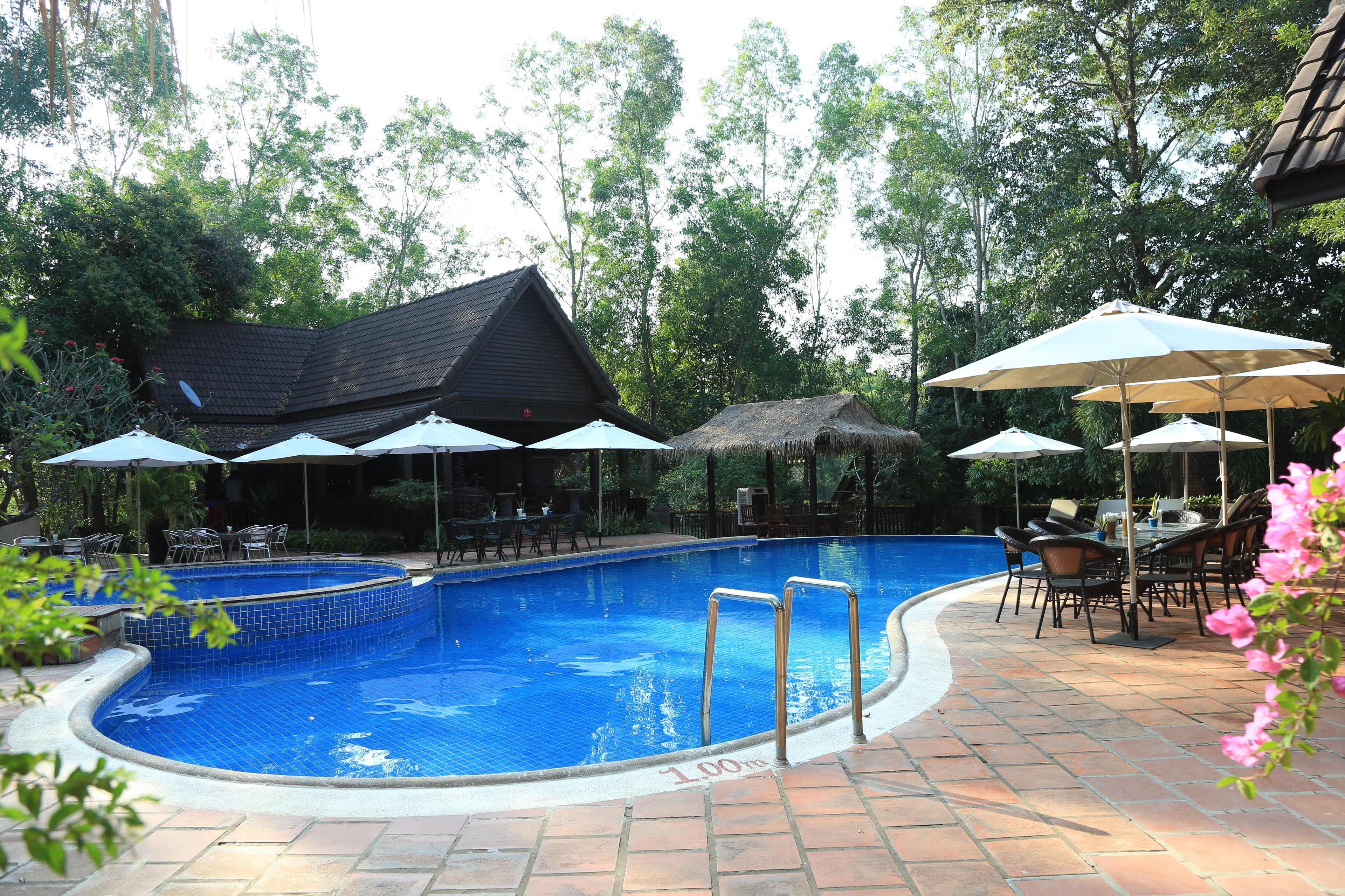 Outdoor pool, pool umbrellas, pool loungers