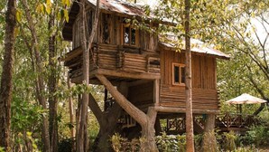 Una casa en el árbol de madera construida sobre un árbol grande, con un pequeño porche y una ventana.