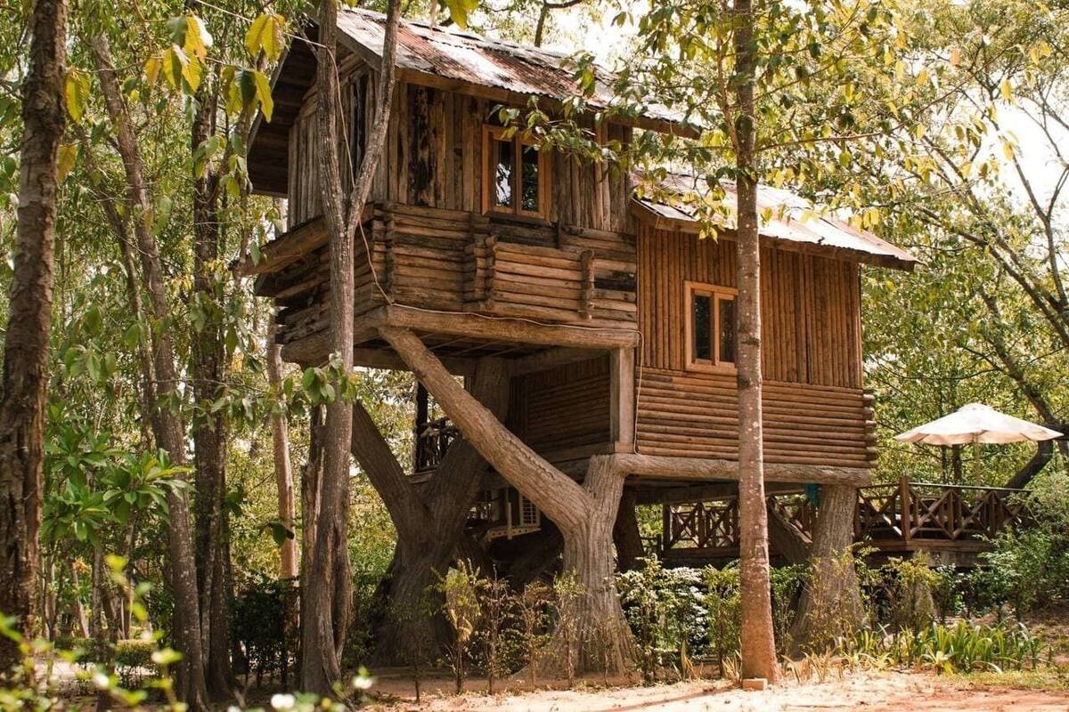 A wooden treehouse built into a large tree, with a small porch and a window.