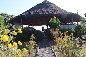 Uma construção com telhado de palha e um caminho de cascalho que a leva até ela, cercada por flores vibrantes amarelas e laranjas.
