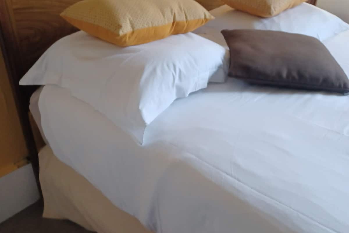 economy double room (salle de bain hors chambre) | minibar, iron/ironing board, free wifi, bed sheets