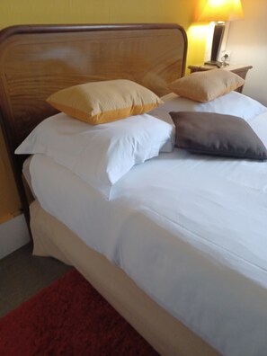 Minibar, iron/ironing board, free WiFi, bed sheets - Hôtellerie Les Lilas (Bourgueil)