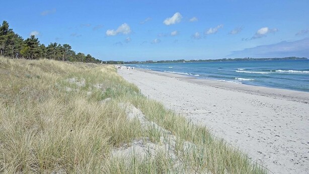 A beach with sand and grass, a clear sky, and a distant shoreline. - Traumsegler, Germany (Breege)
