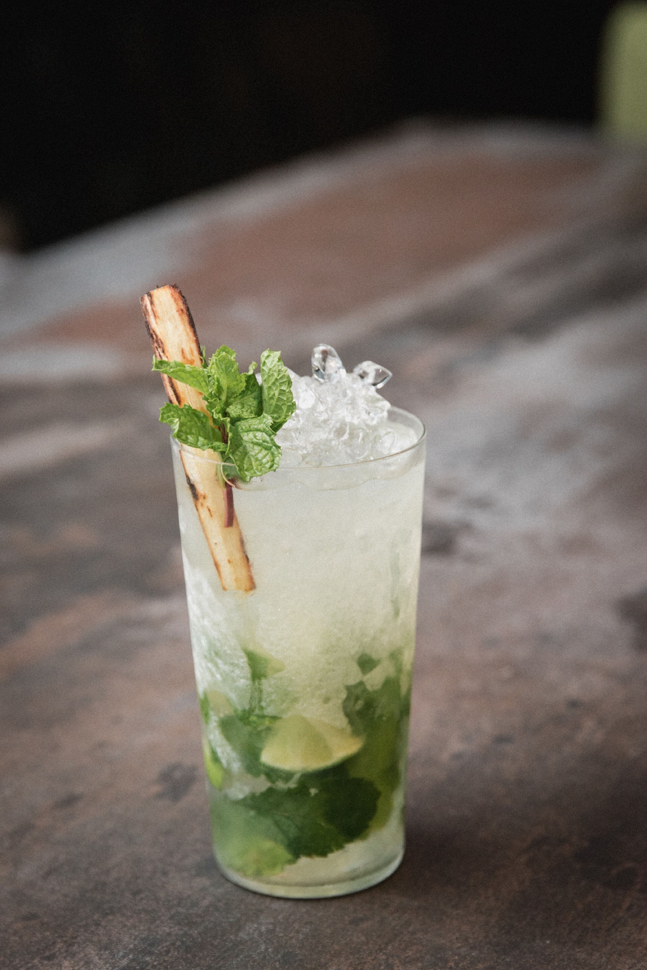 A tall glass with a mint garnish and a cinnamon stick, filled with a greenish drink and ice cubes.