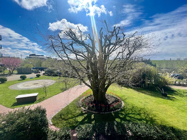 A large tree in a park with a circular brick path and a bench.