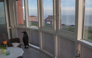 Imagen sin descripción, 3 de 24, botón