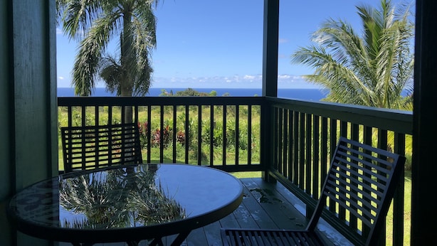 A covered outdoor area with a table and chairs, overlooking a lush landscape and the ocean.