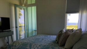 A bedroom with a bed, a television on a stand, a window with a view of greenery, and a door leading to an outdoor area.