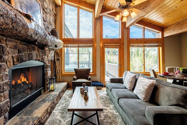 TV, fireplace, DVD player, streaming services