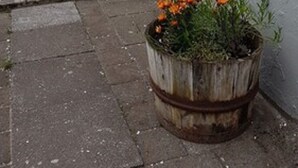 A building with a large window, a patio with chairs, and a potted plant with orange flowers. - Harbour Inn guesthouse (Vesturbyggð)