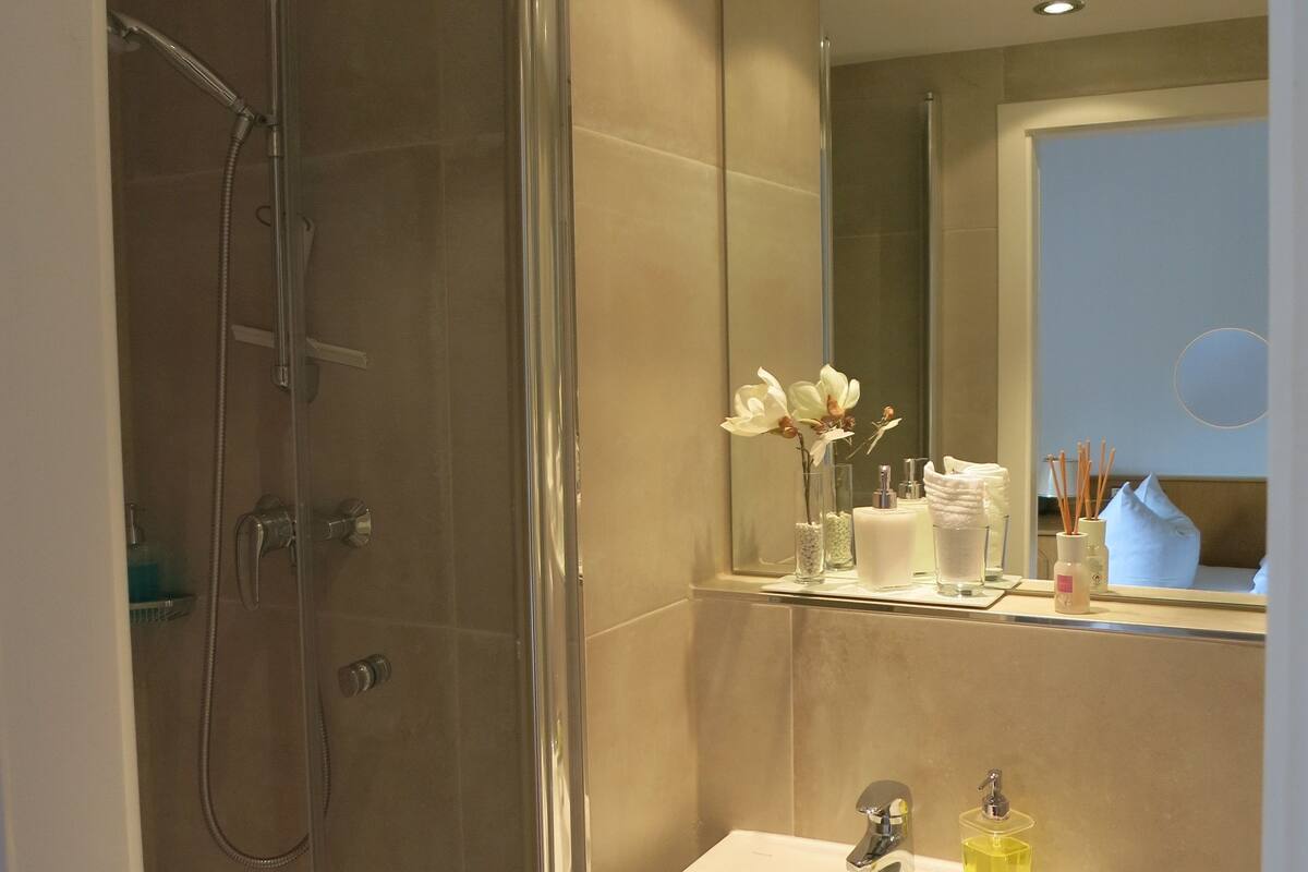 shower, free toiletries, hair dryer, towels