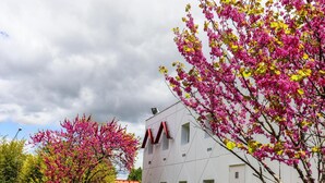 A modern building with a geometric facade and multiple windows. - Hoteleco Sud (Le Passage)